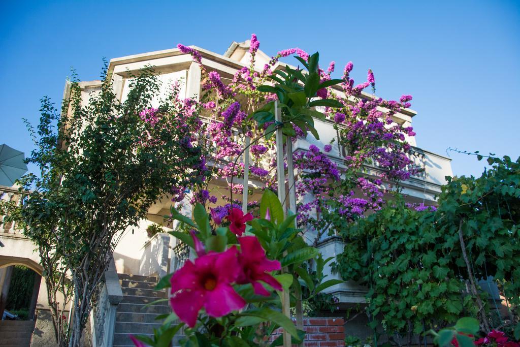 Apartment Klara Biograd Na Moru Dış mekan fotoğraf