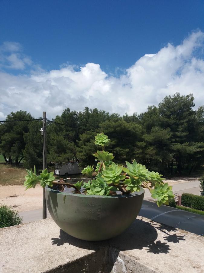 Apartment Klara Biograd Na Moru Dış mekan fotoğraf